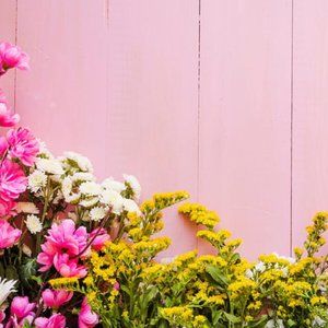 Meet your Posher, Avery